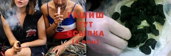 шишки Кодинск