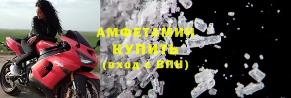 шишки Кодинск