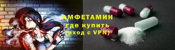шишки Кодинск