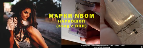 шишки Кодинск