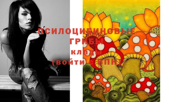соль ск Козельск