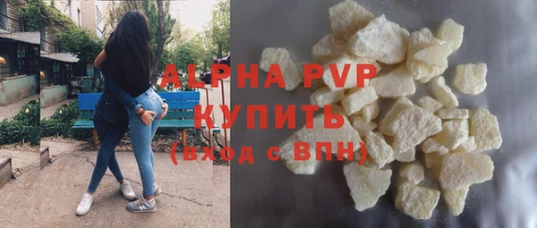 шишки Кодинск
