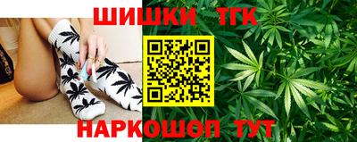 крисы Кингисепп