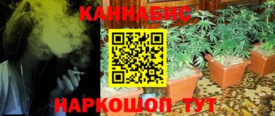 крисы Кингисепп