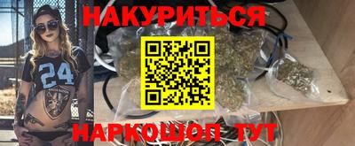 крисы Кингисепп