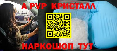 крисы Кингисепп