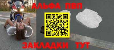 крисы Кингисепп