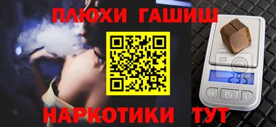 крисы Кингисепп